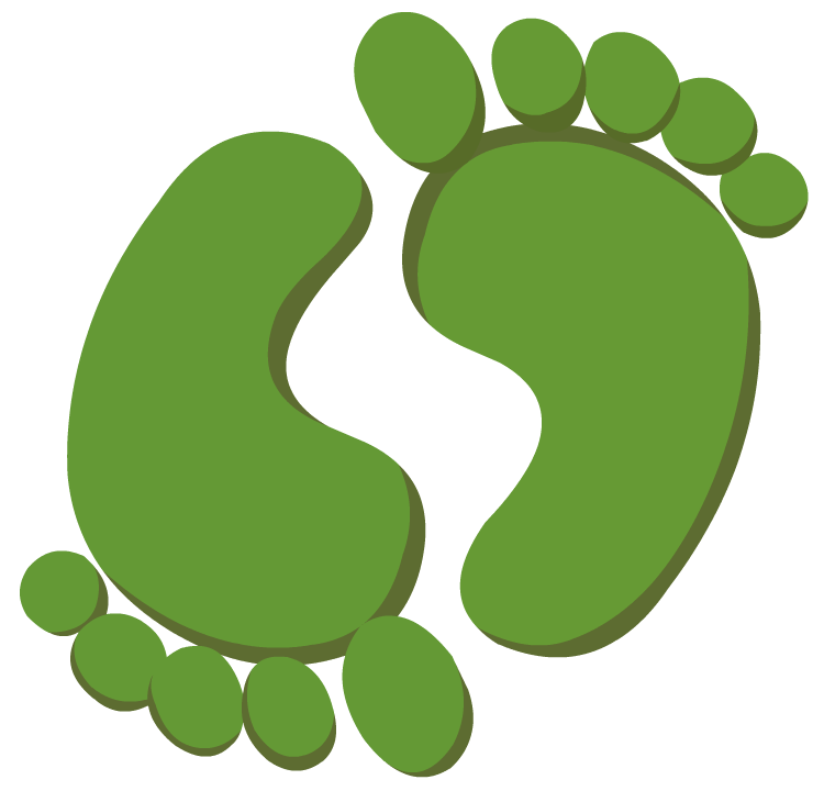 Barefoot Logo